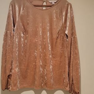 NWOT Lauren Conrad Top